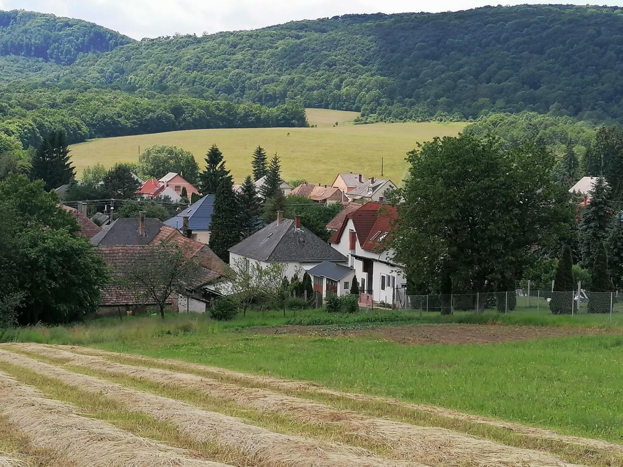 Borostyankut Wellness Home Bakonybél Εξωτερικό φωτογραφία