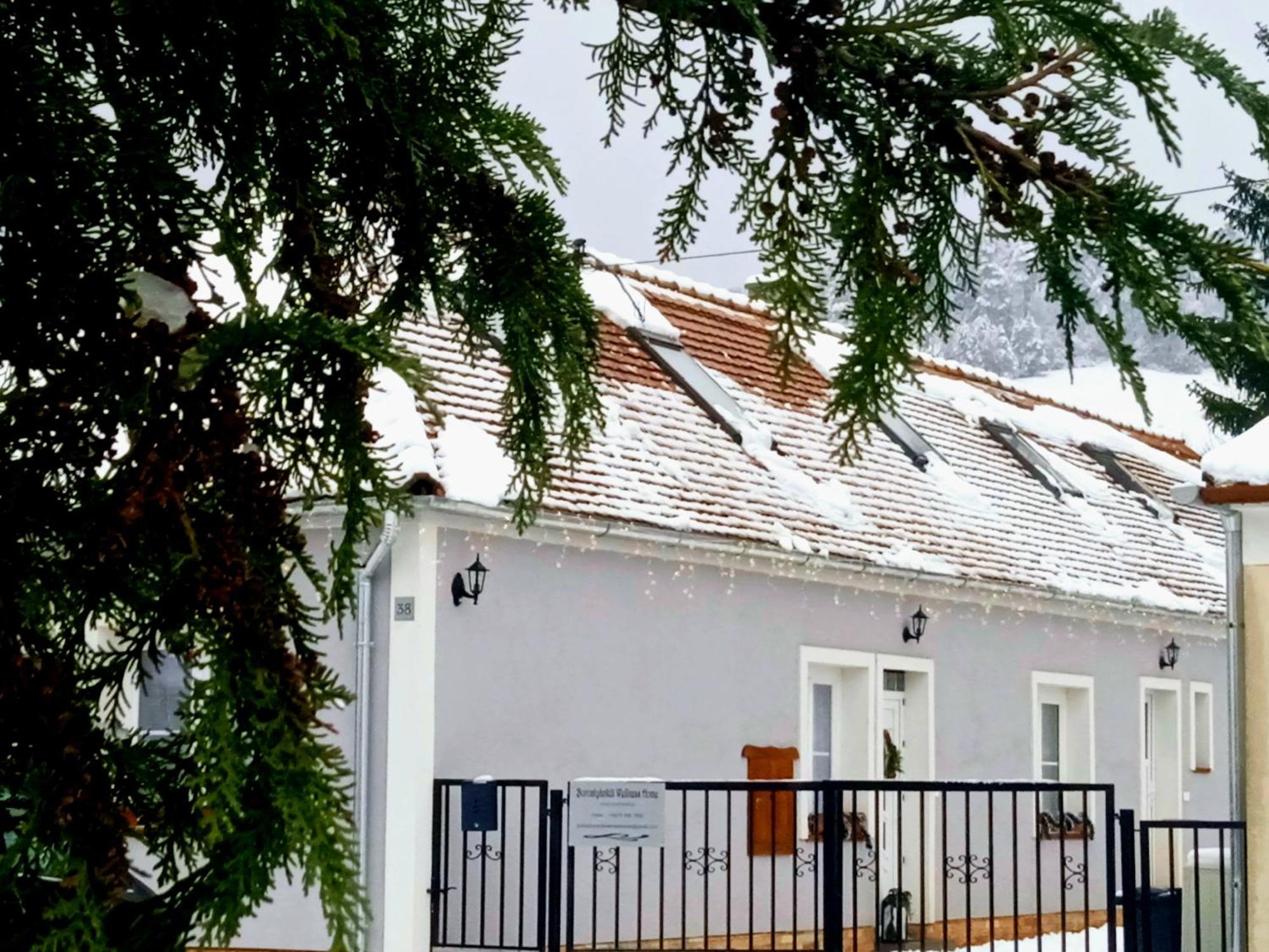 Borostyankut Wellness Home Bakonybél Εξωτερικό φωτογραφία